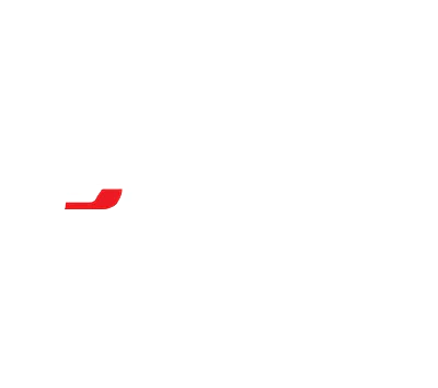 Disanmotos Logo